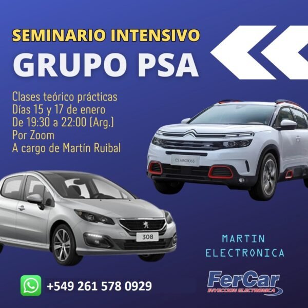 SEMINARIO ESPECIAL PSA