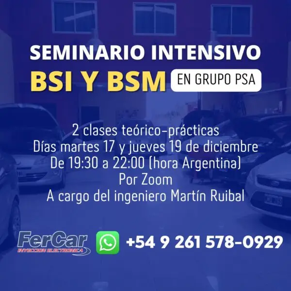 SEMINARIO DE BSI Y BSM Grupo PSA