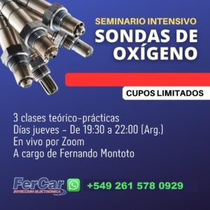 SEMINARIO DE SONDAS DE OXÍGENO