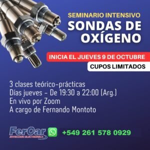 SEMINARIO DE SONDAS DE OXÍGENO