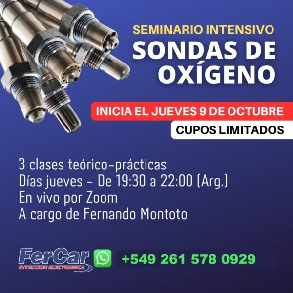 SEMINARIO DE SONDAS DE OXÍGENO
