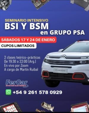SEMINARIO DE BSI Y BSM Grupo PSA